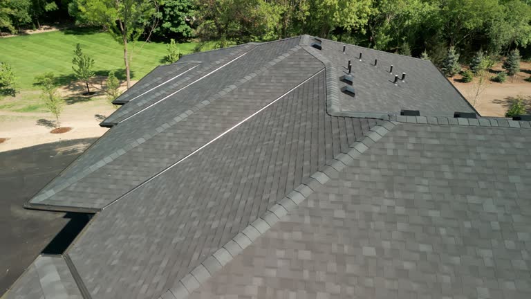 Best Roof Inspection  in Morrison, IL