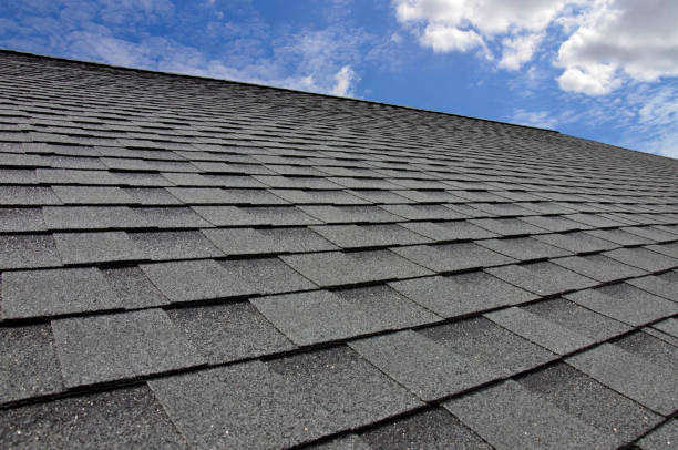 Best Roof Insulation Installation  in Morrison, IL